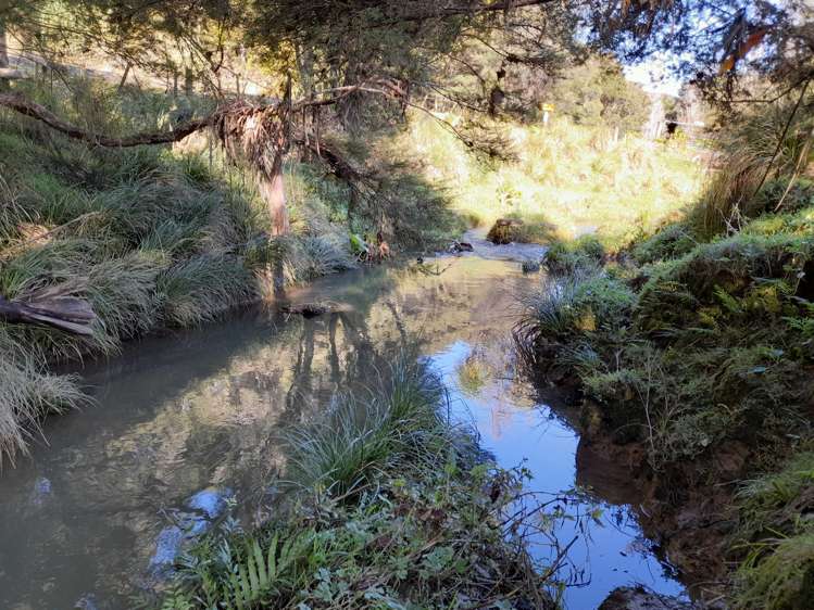 424 Paranui-Toatoa Road Taipa_2