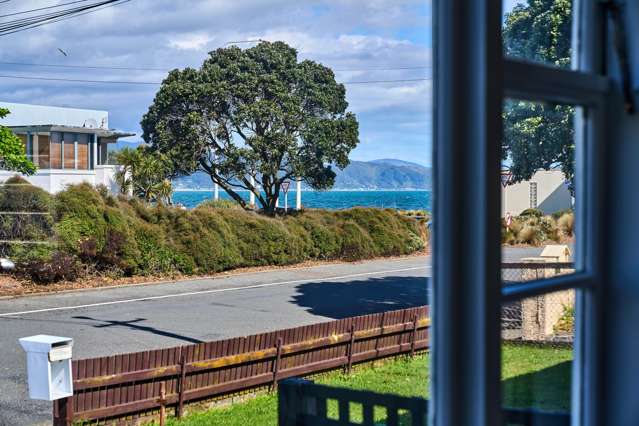 9 Buick Street Petone_1