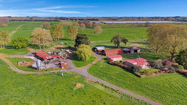 84 Goodwin Road Ohaupo_17