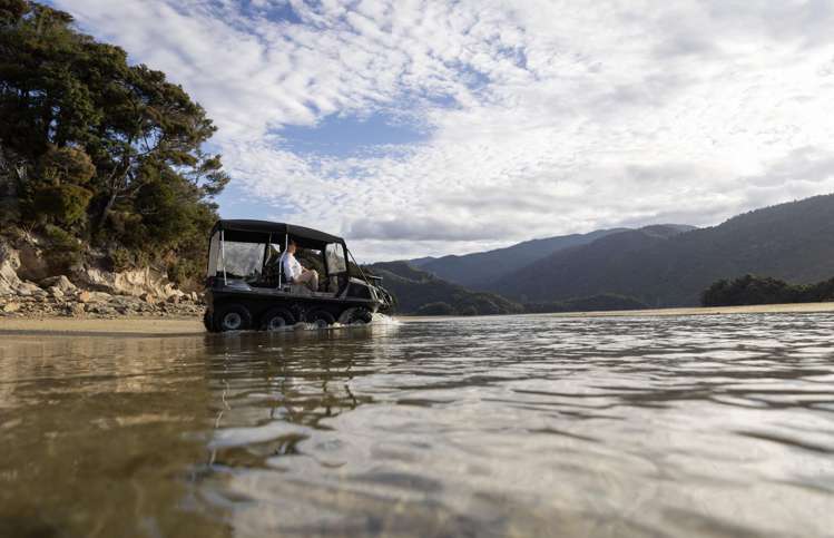 49 Awaroa Inlet Awaroa_14