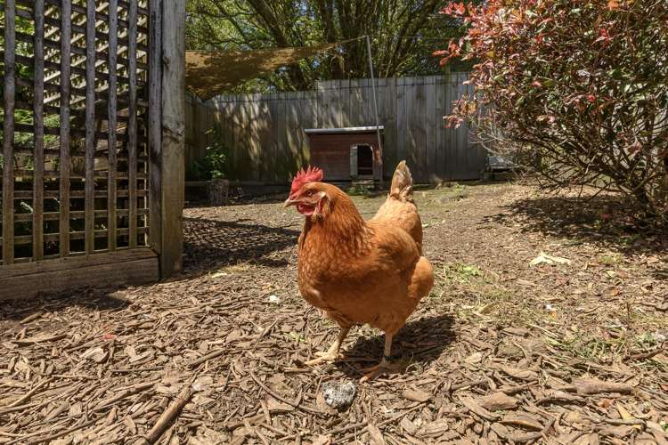 928 Omanawa Road Omanawa_14