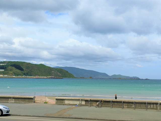 7/100 Lyall Parade Lyall Bay_4