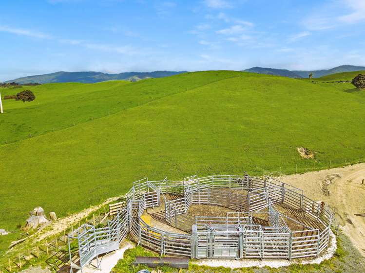 268 Kiritaki Road Dannevirke_12