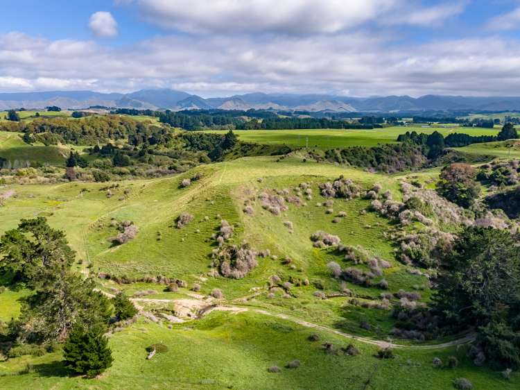 200 Garfield Road Norsewood_13