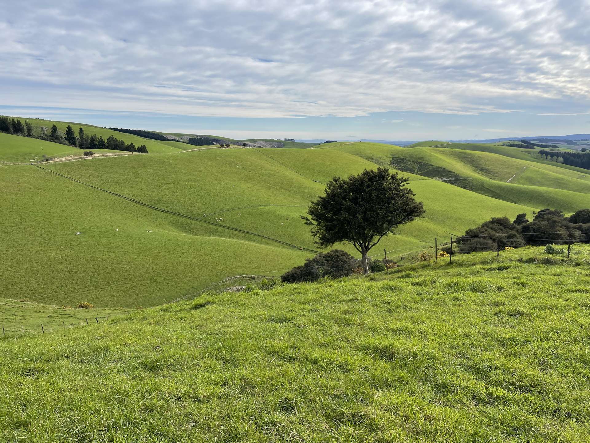 186 Murray Road Lawrence_0