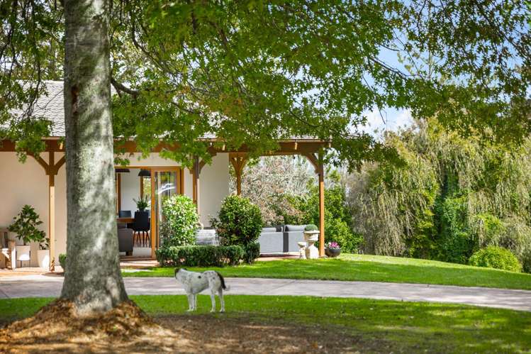 10 Trig Road West Harbour_44