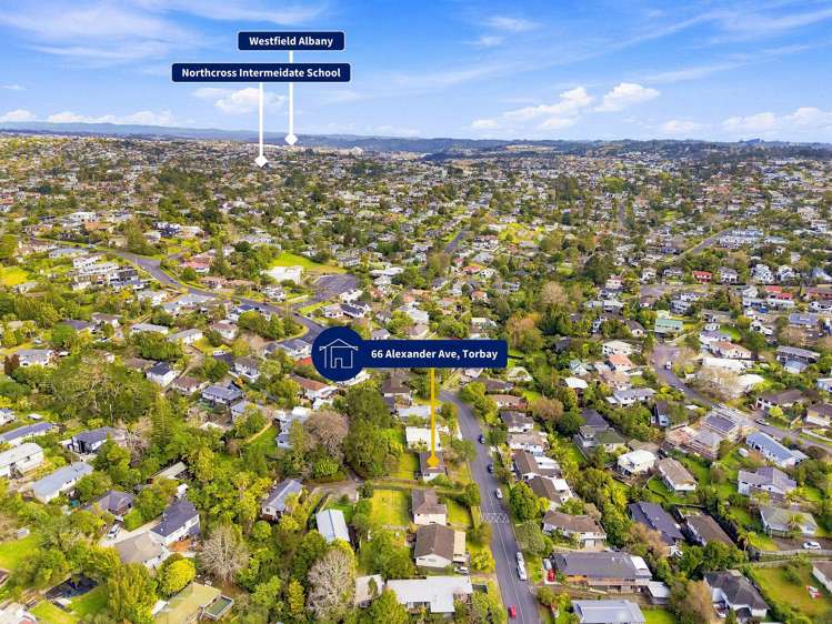 66 Alexander Avenue Torbay_22