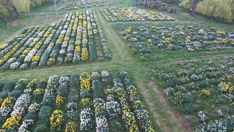 66 Brophy Road Geraldine_11