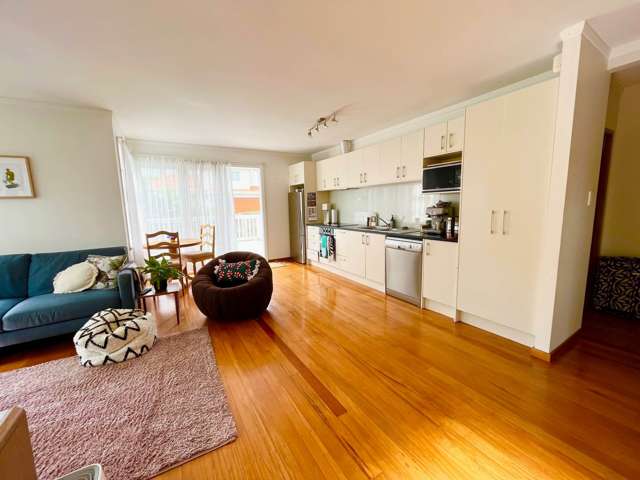 9 Moana Avenue One Tree Hill_3