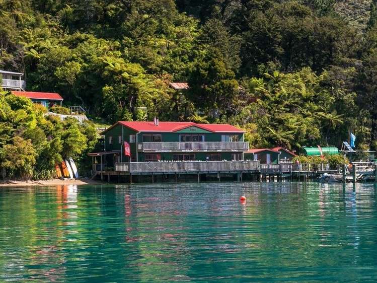 Wilson Bay Marlborough_16