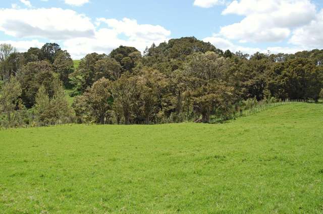 Lot 5 Judd Road Maungaturoto_3