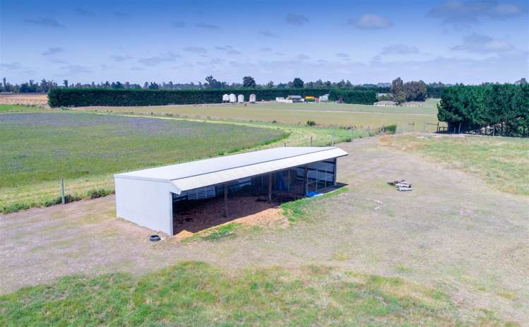 493 Maddisons Road Rolleston_9