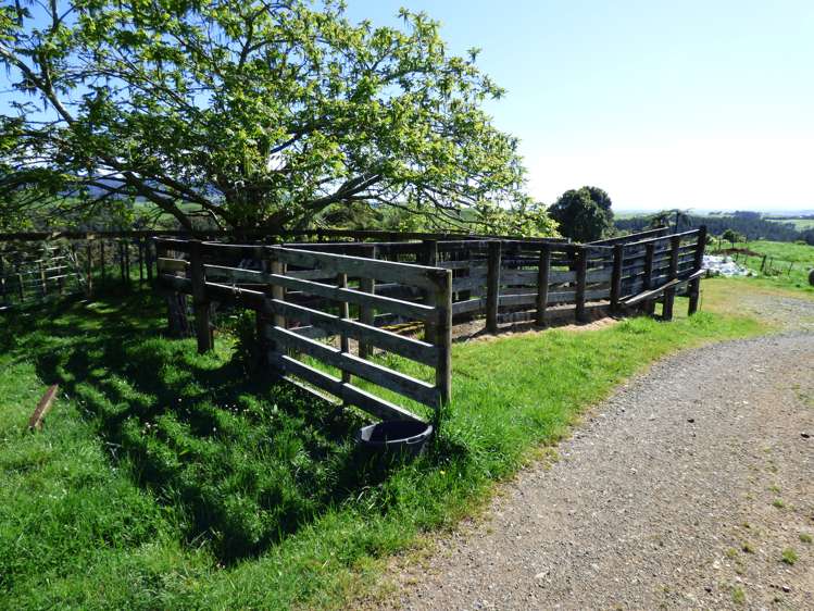 2229 State Highway 31, Kawhia Road Otorohanga_12