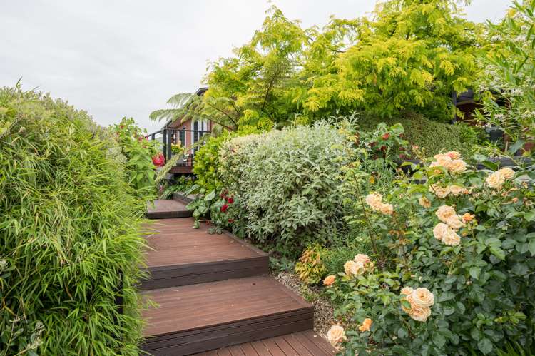 5 Berkshire Place Stoke_25