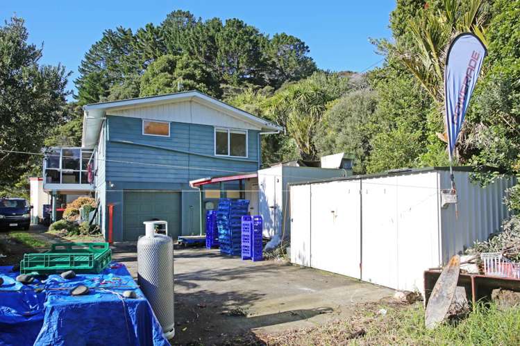 10 Tuakau Bridge-Port Waikato Road_4