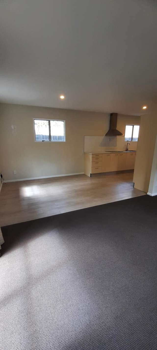 11 Hutcheson Street Sydenham_4