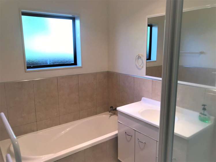 697 Hillsborough Road Mount Roskill_6