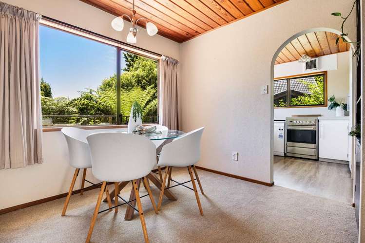 163 Browns Bay Road Browns Bay_9