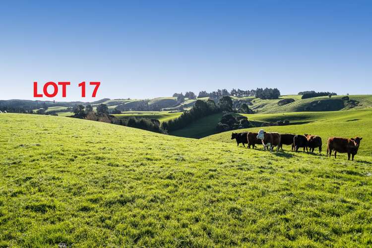 Table Hill Road Milton_13