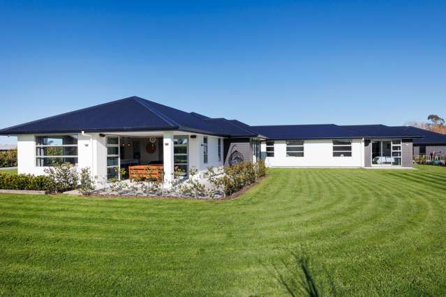 29 Roots Street East Feilding_1