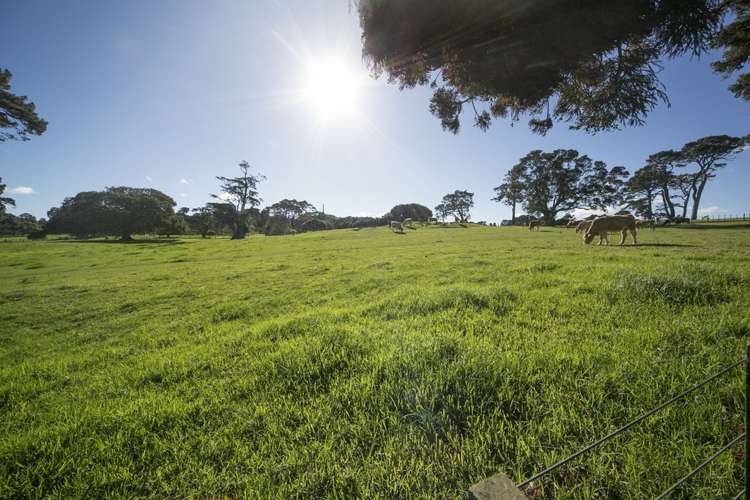 76 Campbell Road One Tree Hill_14