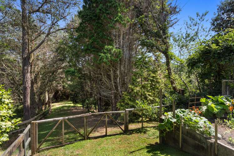 763b White Pine Bush Road Whakatane_26