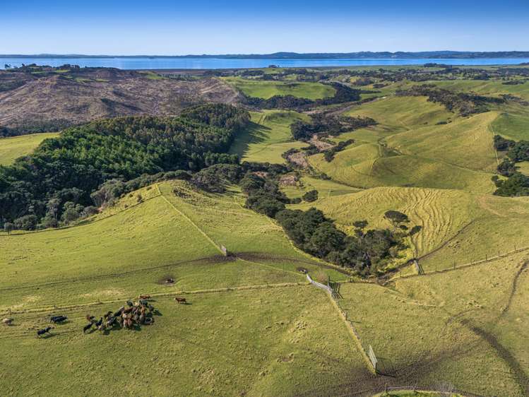 156 Te Kanae Road, South Head Helensville_44