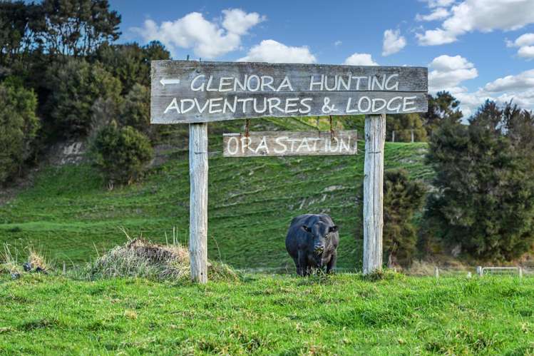 1550 Glenora Road Akitio_3