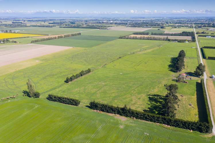 Wilkins Road Tinwald_6