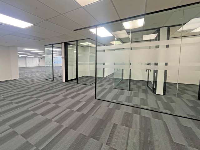 13 Ronwood Avenue Manukau_3