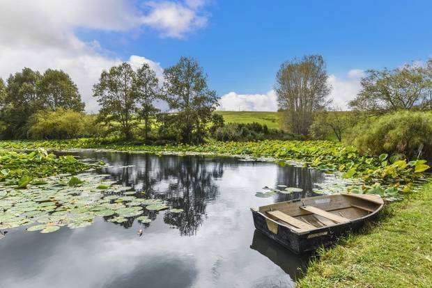 The picturesque home in Matakana features lotus-lilly filled pond
