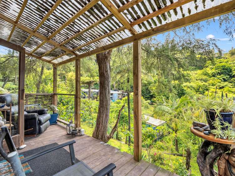 Ohiwa Loop Road Waiotahi_16