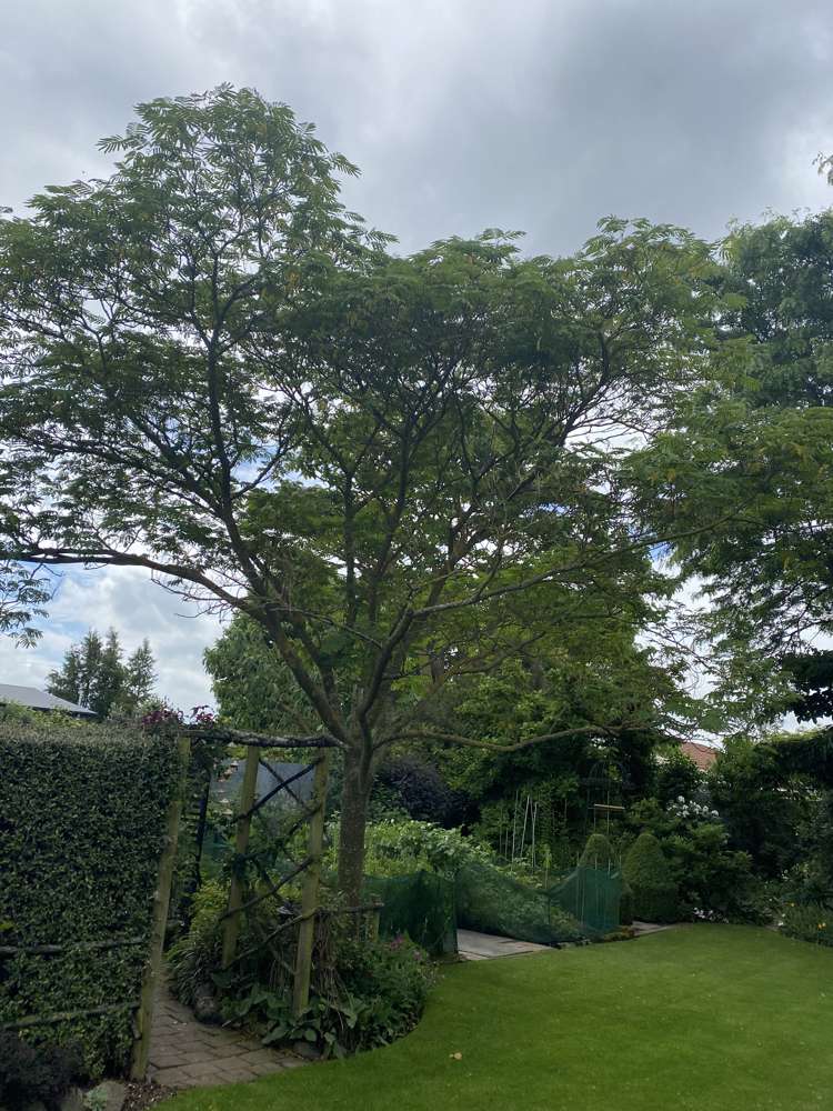 96 Middle Road Allenton_49