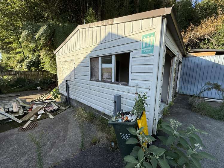 61-63 Carrington Street Lower Vogeltown_7