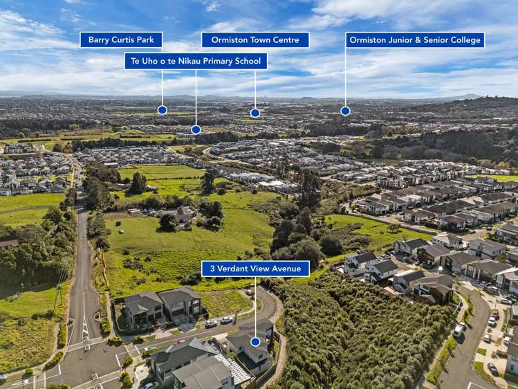 3 Verdant View Avenue Flat Bush_39