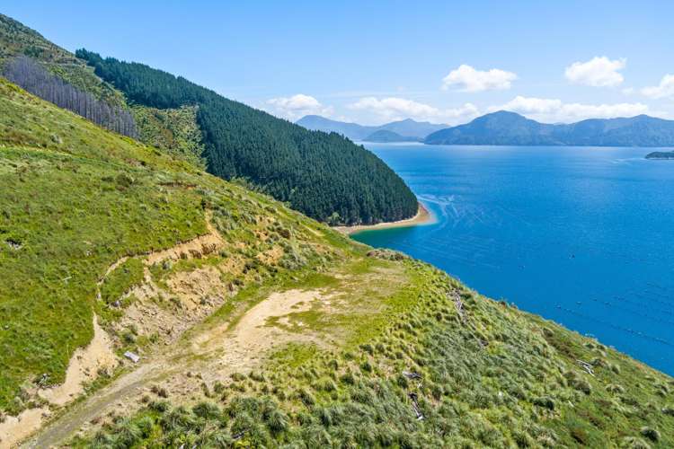 815 Manaroa Road Marlborough Sounds_25