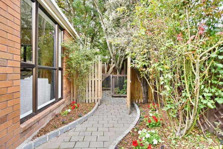 22a Momorangi Crescent Redwood_17