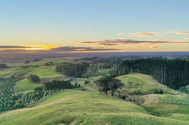 68a Greens Road Linton_7