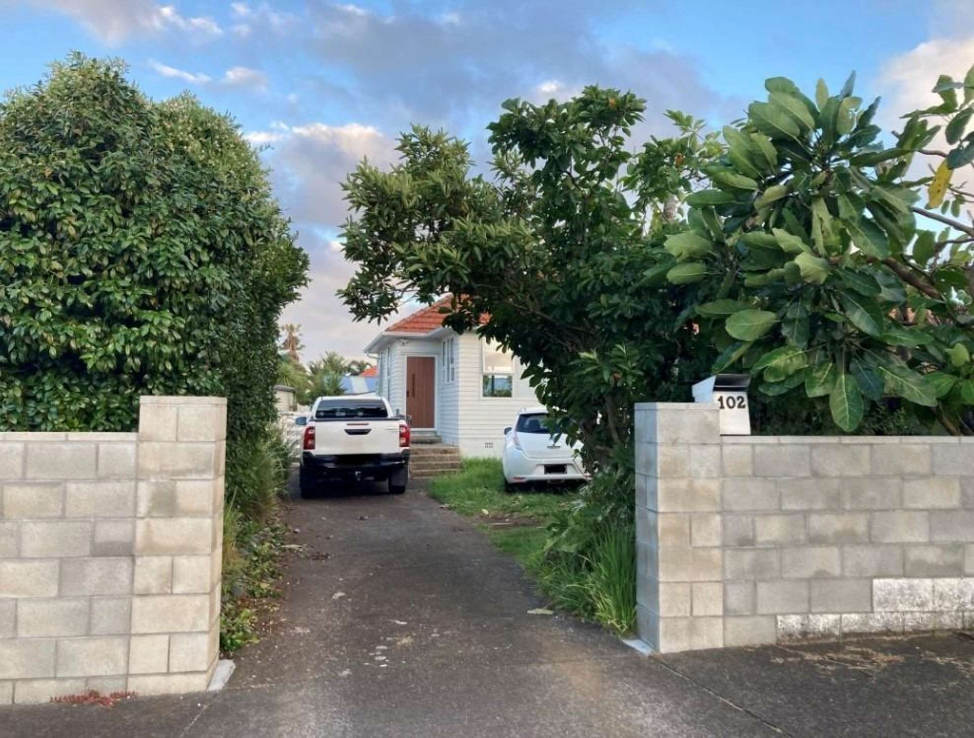 102 Tripoli Road Panmure_0