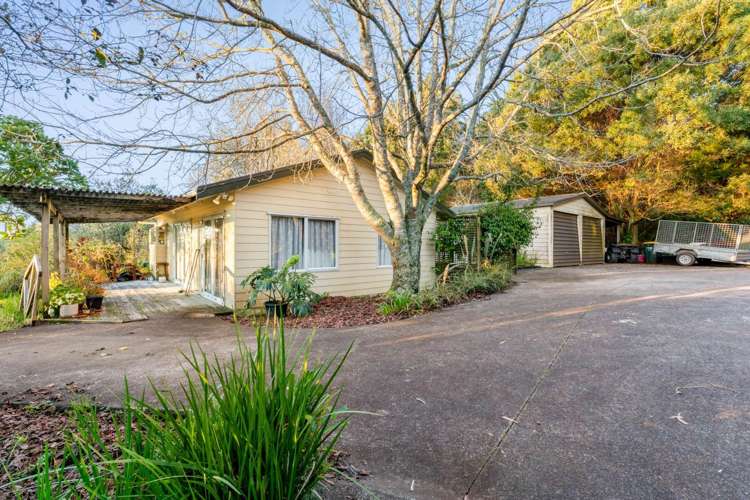 102 Kennedy Road Dairy Flat_20