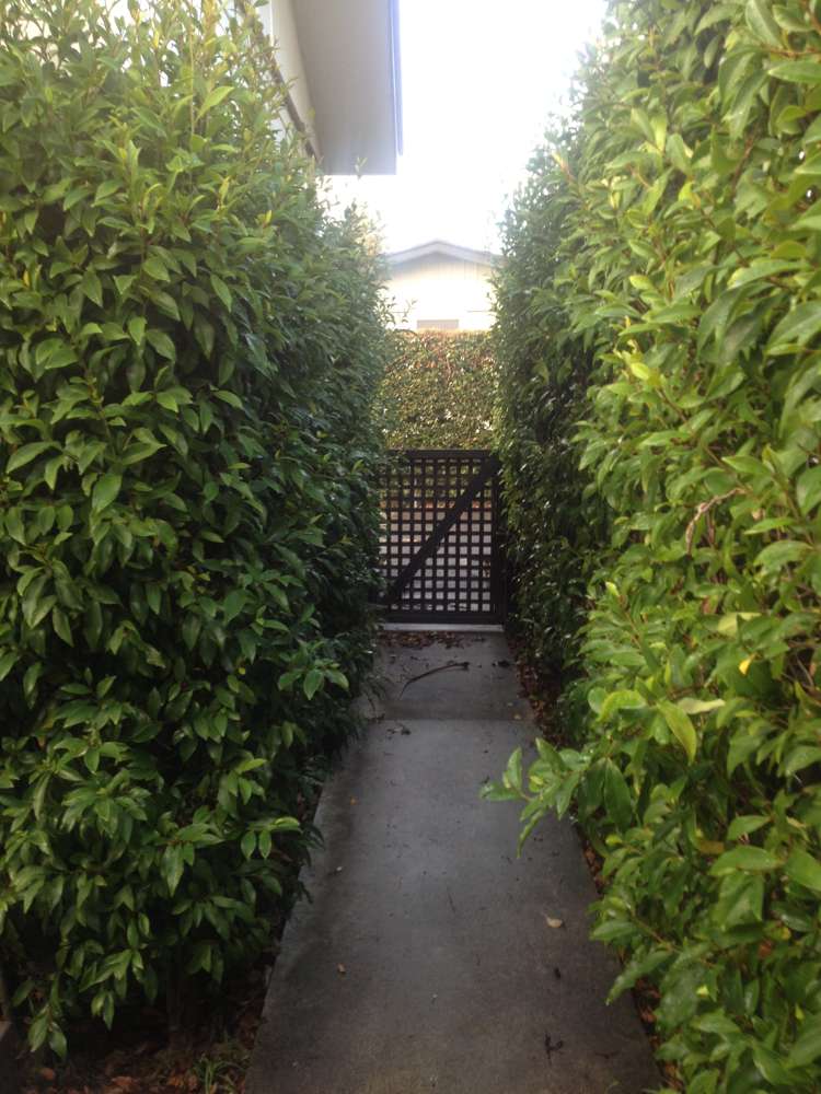 11c Highbury Street Avondale_8