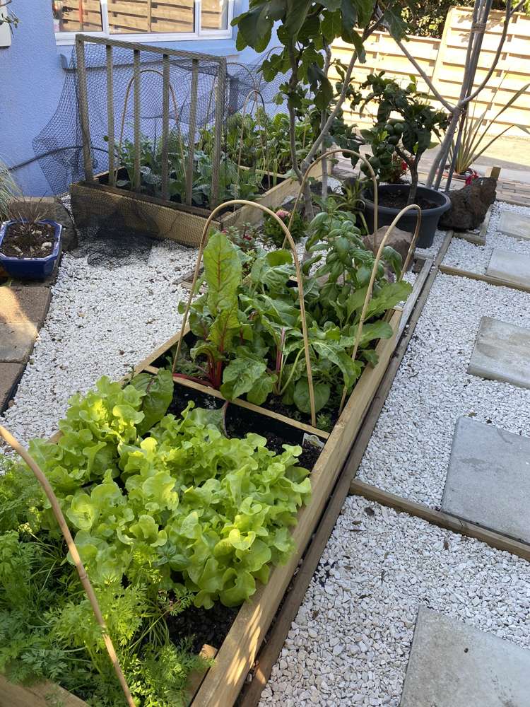 1/58 Takutai Avenue Half Moon Bay_32