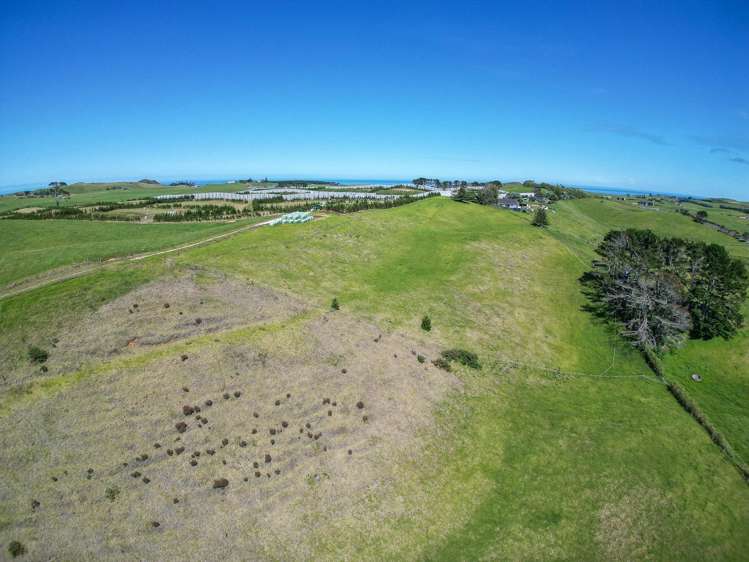 42 Redhill Cemetery Road Te Kopuru_5