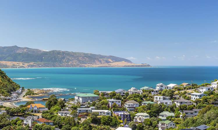 48 Frobisher Street Island Bay_16