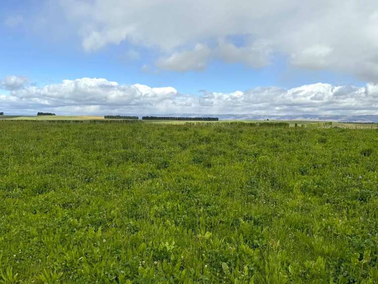 Bypass Road Ranfurly_4