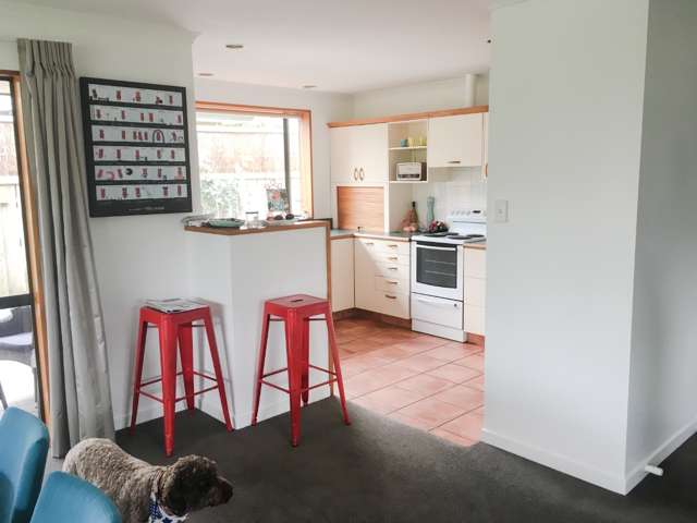 5a Mercury Place Wanaka_4