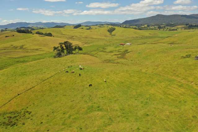 1, 2/298B Church Road Kaitaia_2