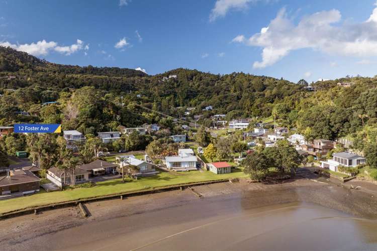 12 Foster Avenue Huia_5