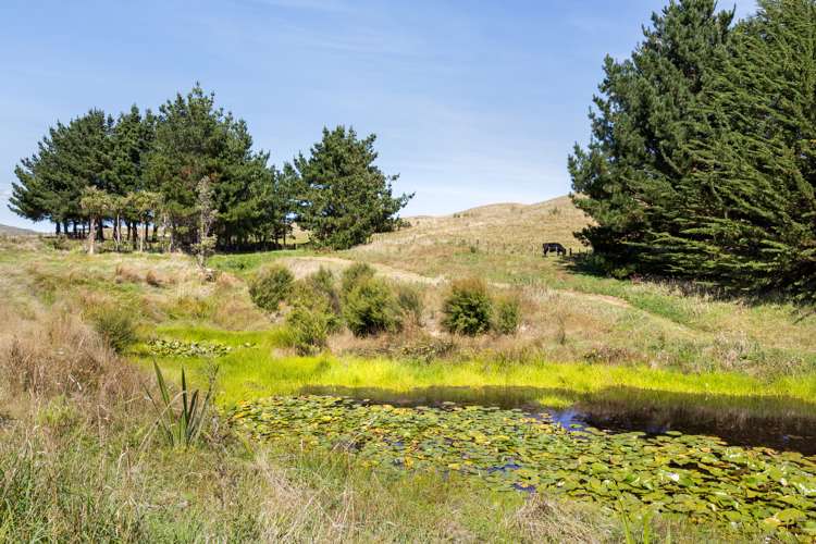 129c Flightys Road Judgeford_8