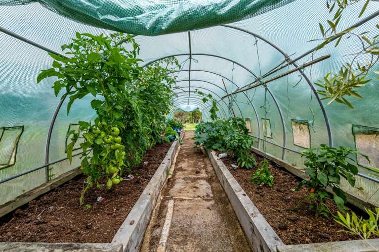 438B Alfred Road Egmont Village_46